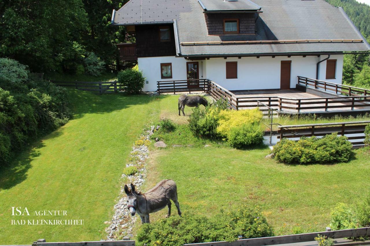Ski-To-Door Dorfblick Diamant Apartment Bad Kleinkirchheim Luaran gambar
